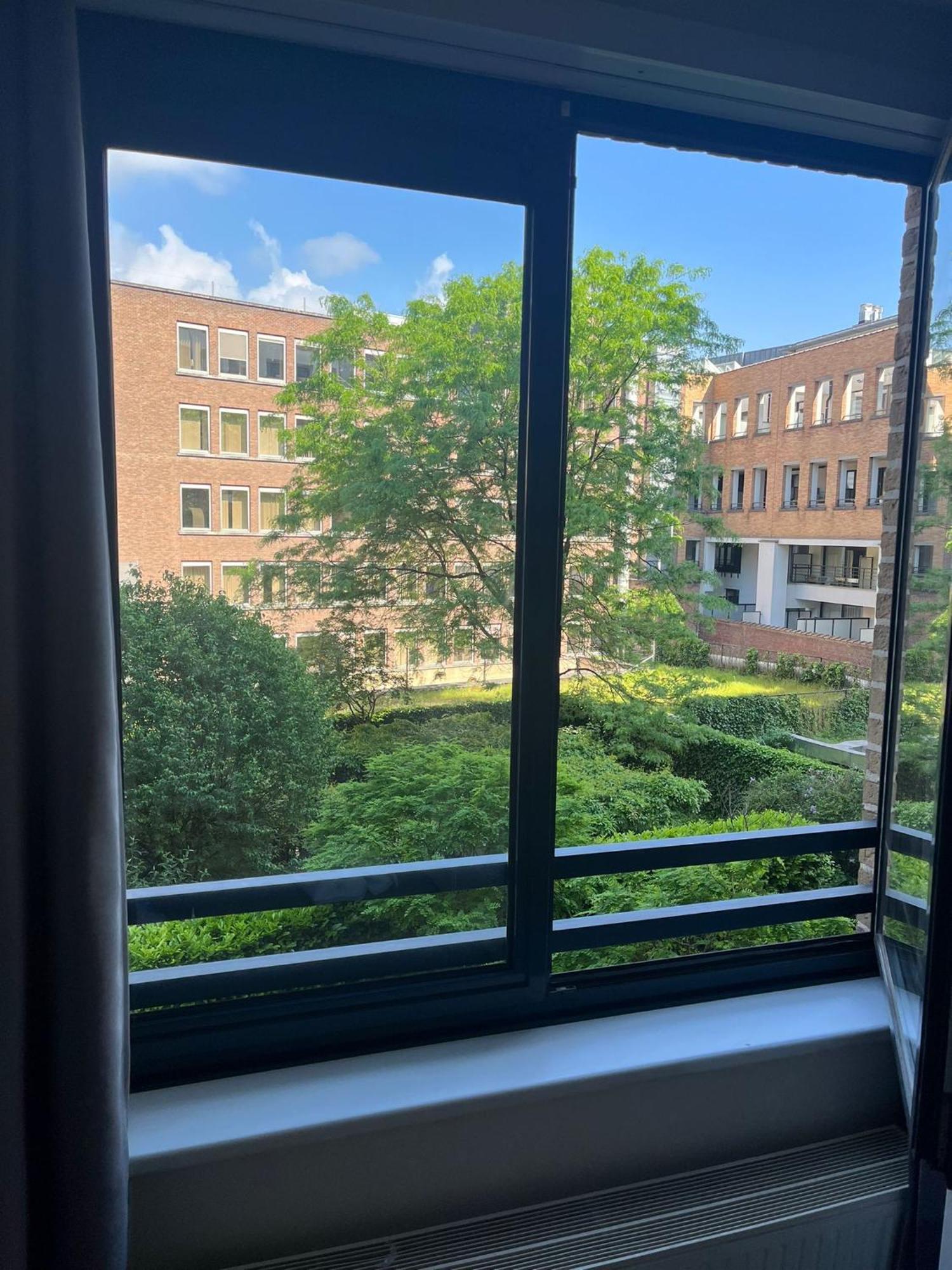 Appartement Coeur De Bruxelles, Grand-place Et Mannekenpiss *